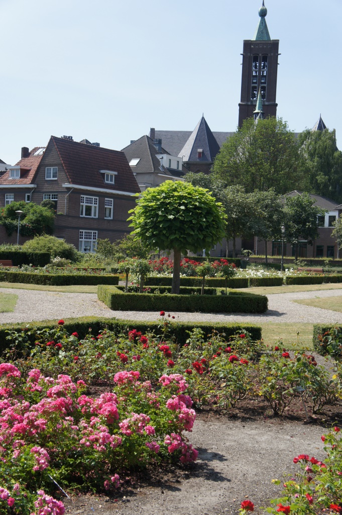 2015 06 13 Rosarium