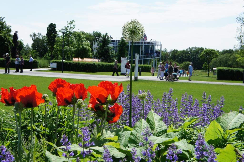 2021 03 10 Floriade Mohn