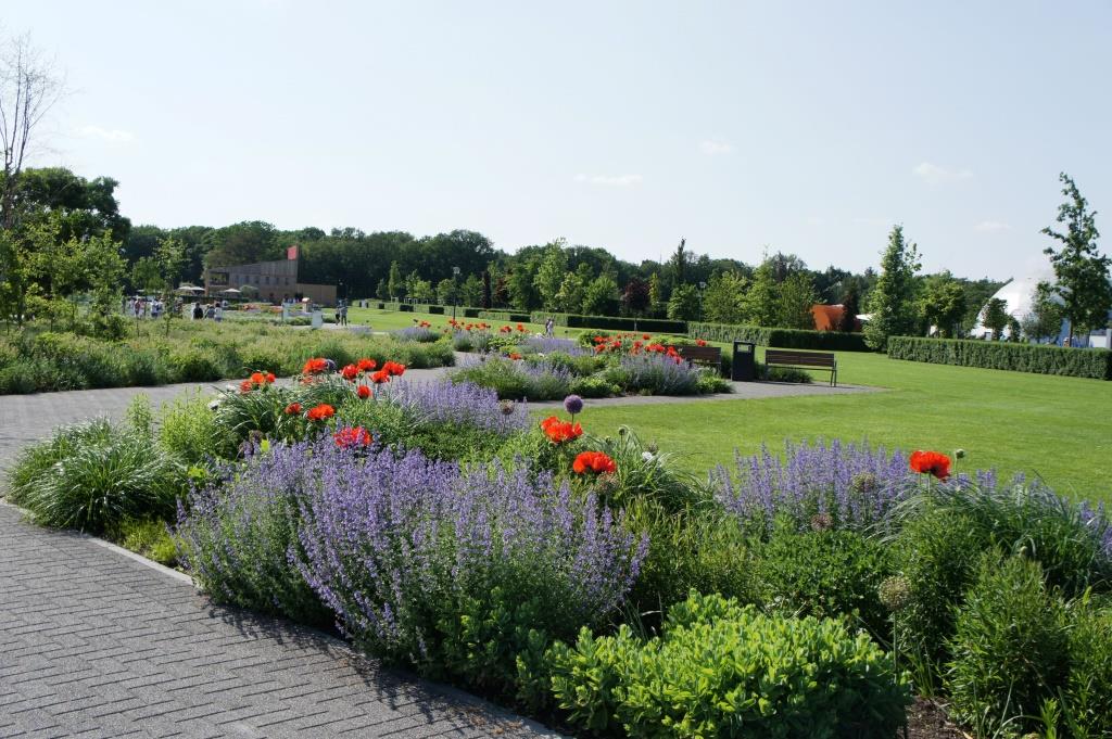 2021 03 10 Floriade Mohn und Weg