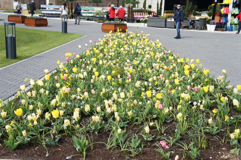 2021 03 11 Floriade 33 Frühblüher