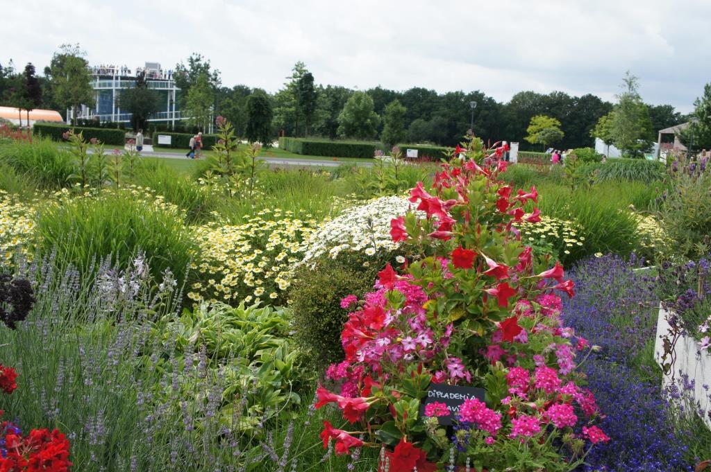 2021 03 11 Floriade 38 Blumen und Earthwalk