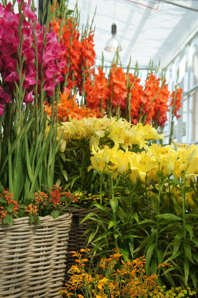 2021 03 11 Floriade 4 Blumen
