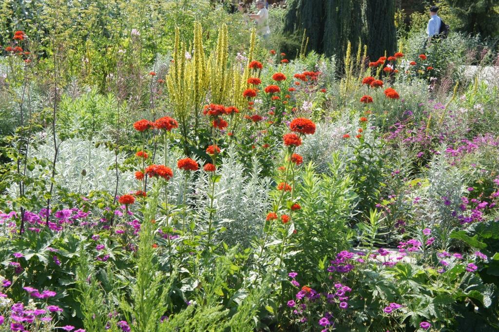 2021 03 11 Floriade 6 Blumen